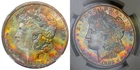 1882-S NGC MS65 CAC MORGAN $ - HARD TO FIND - RAINBOW TONED (VIDEO)