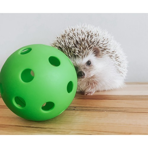 Rolling Toy Bundle - Cage Accessories - Chinchilla, Hamster, Hedgehog, Gerbil - Picture 10 of 12