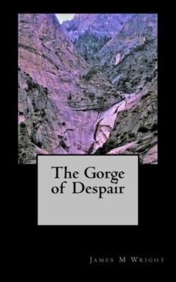 The Gorge Of Despair