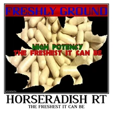 HORSERADISH ROOT Freshest It Can Be Fresh Ground Top Quality 100 V Capsules