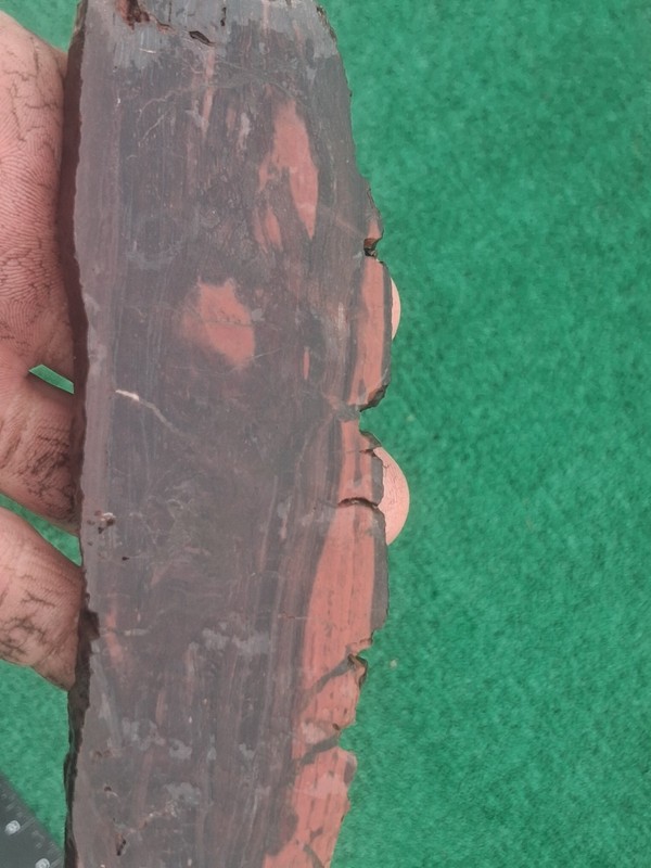 rough slab Petrofied Wood 153g. 6/16- Thick Lapidary Cabbing #FR-1