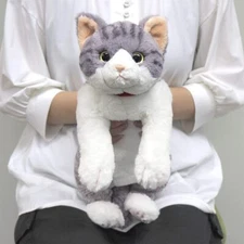 Sun Lemon Knee Cat Sabashiro Plush Toy Doll M Size 47 cm Gray Japan