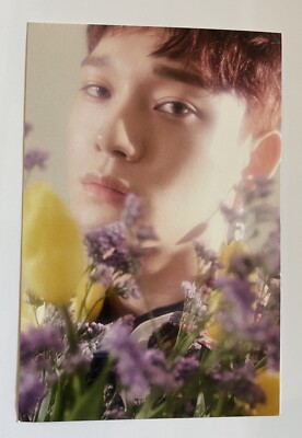 EXO - CBX Chen Offizielle Postkarte SM ''Blooming Days''
