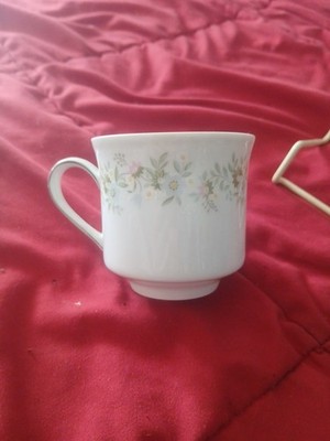Johann Haviland Tea Coffee Cup Bavaria Germany Forever Spring China