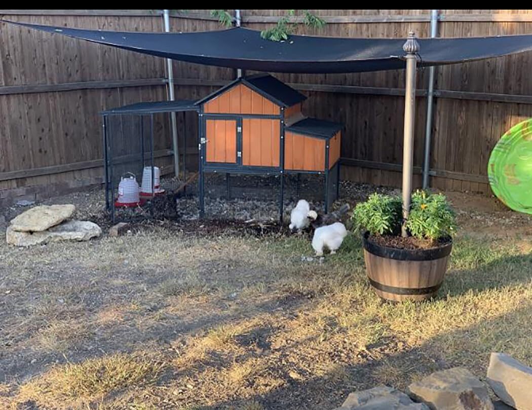 Picture 6 of 6