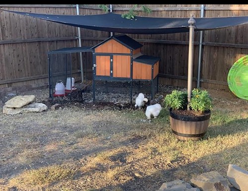 Dog Kennel Shade Cover 95% Sunblock Shade Tarp Panel Net Mesh With Grommets For - Picture 6 of 6