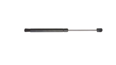 Gasfeder Hinten für Chrysler Aspen Ford Bronco Mustang LTD 76-86