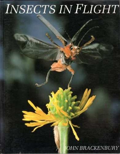 Insects in Flight-John Brackenbury, 9780713725940 - Picture 1 of 1