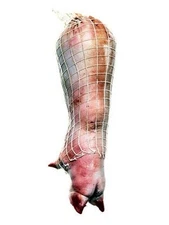 Hans Gissinger SALAMI #8 Signed Limited Edition Print 2001 #107734