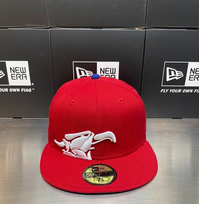 New Era Animal Bikes Fitted hat 59Fifty ULTRA RARE OLDER STYLE Bmx not parts