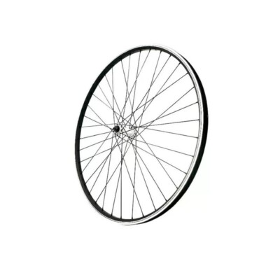 Ruota Anteriore bici 20