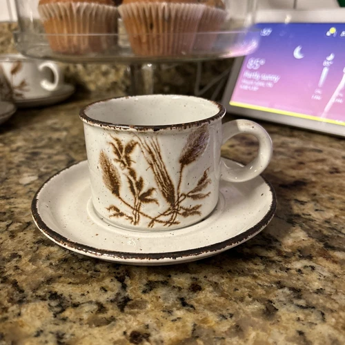 Midwinter  Stonehenge  Wedgewood Group Member ~ Wild Oats ~ Cup & Saucers Set-9