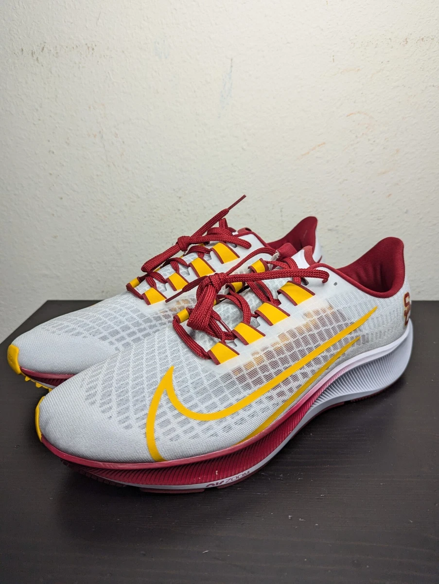 running shoes nike pegasus 37 usc