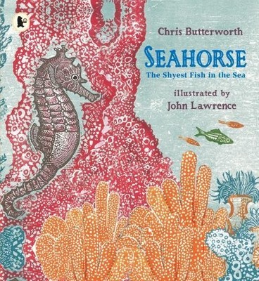 Chris Butterworth Seahorse: The Shyest Fish in the Sea (Taschenbuch) (US IMPORT)