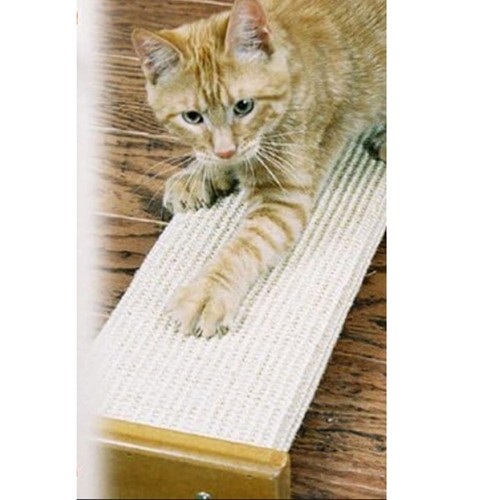 Rascador de pared combinado Pioneer Pet SmartCat Bootsie's - Imagen 3 de 3