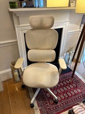 FlexiSpot BS5 Ergonomic Office Chair – Cream – Excellent Condition – £95