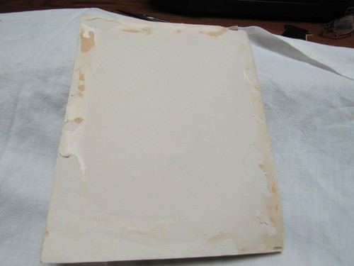 1945 Used Huge Easter Card Wife Foil Netting Pretty! - Picture 5 of 6