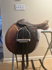16.5  Brown Pessoa Rodrigo Jumping/Close Cont...