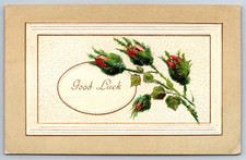 Embossed Pretty Red Rose Good Luck Vintage Postcard