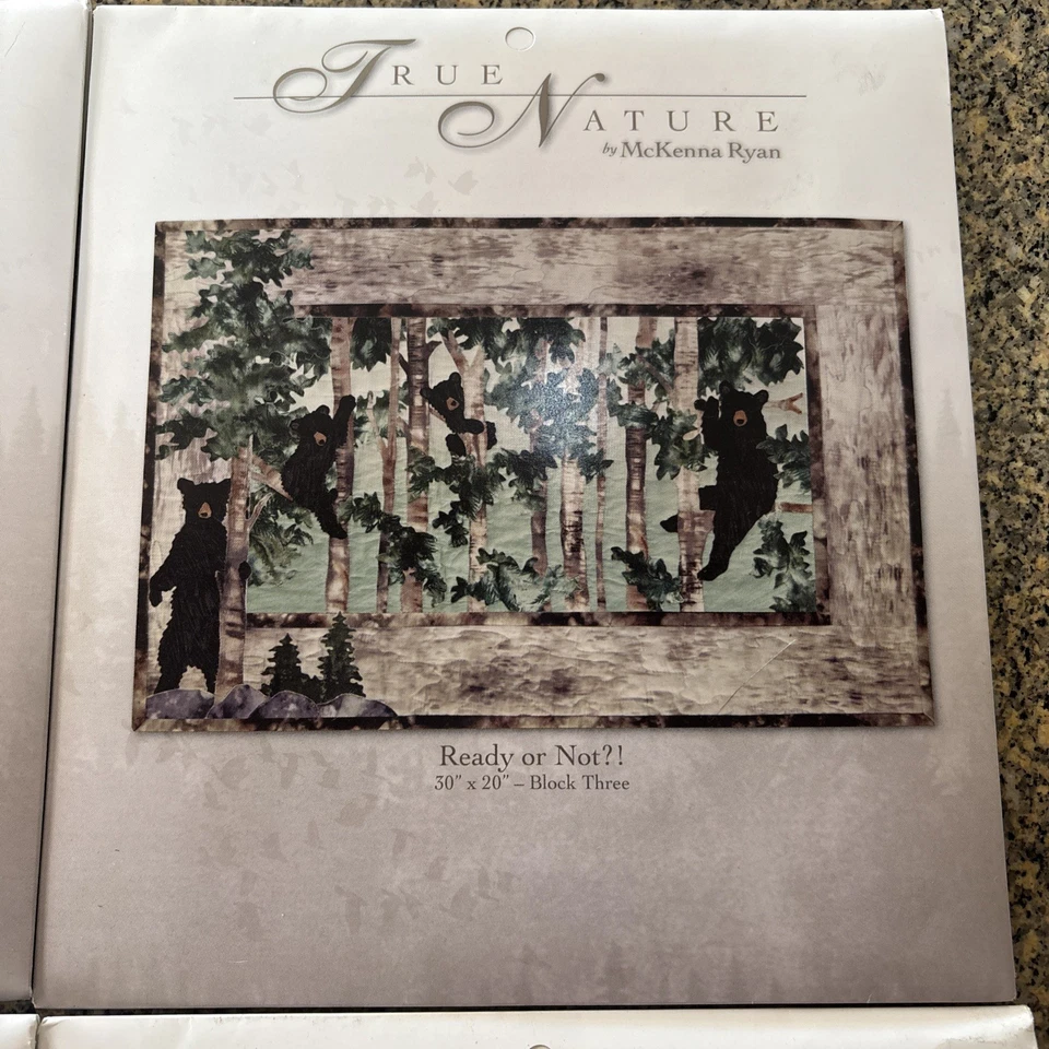 McKenna Ryan Pine Needles TRUE NATURE Full Complete Set 6 Block Quilt Pattern - Image 4 of 4