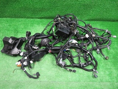NISSAN Note 2017 DAA-HE12 Wire Harness [Used] [PA64835131] | eBay