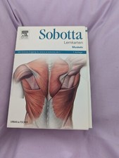 Sobotta Lernkarten Muskeln: Muskeln - mit Zugang zum Els... | Buch | Zustand gut