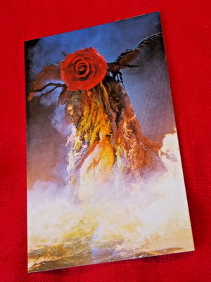 90's Vintage TOHO Japanese Godzilla vs Biollante Card #53 Japan   UK