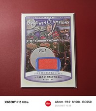 2019 Upper Deck Goodwin Memorabilia Chad Sexton #M-CS Musician Card