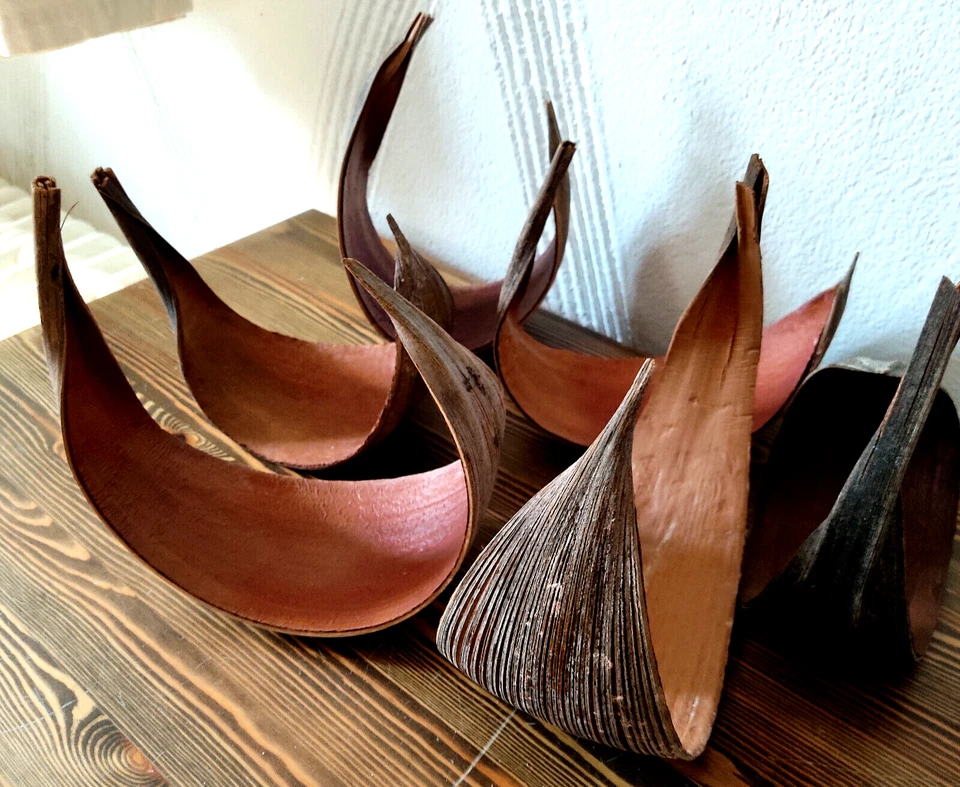 Natur Kokosblatt 30-40 cm gebogen Palmen Blatt Kokoschale zum basten Dekoschale - Bild 4 von 4