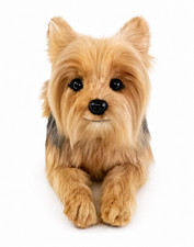 Dragon Moss Yorkie Plush Dog Realistic Stuffed Animal Ready to Ship Gift