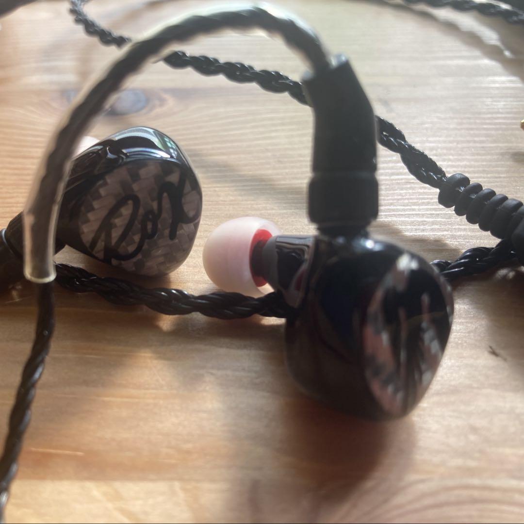 Roxanne UNIVERSAL IEM Silver Carbon Audio | eBay Roxanne UNIVERSAL IEM Silver Carbon Audio | eBay