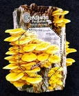 Malaysia Medicinal Mushrooms 2026 Food Fungi (ms) MNH *odd *embossed *unusual