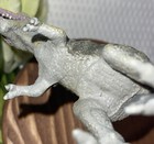 Picture 5 of 5
