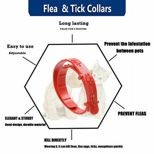 Up To 10Pcs Flea Collars Pet Cat Kitten Cats Adjustable Anti Tick Pest Control - Picture 7 of 12