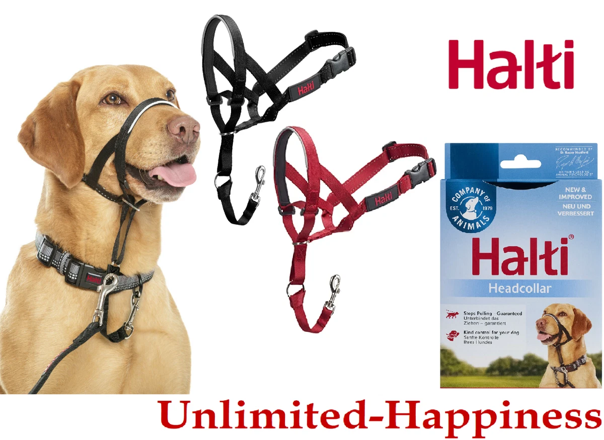 Halti Head Collar Dog Training Obedience Stop Pulling on Lead All