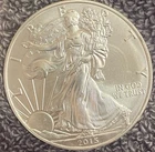 2015 American Silver Eagle Dollar Coin Uncirculated Nice Flawless Condition