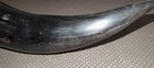 Vintage Mounted Steer Horns Leather Wrapped — photo 9