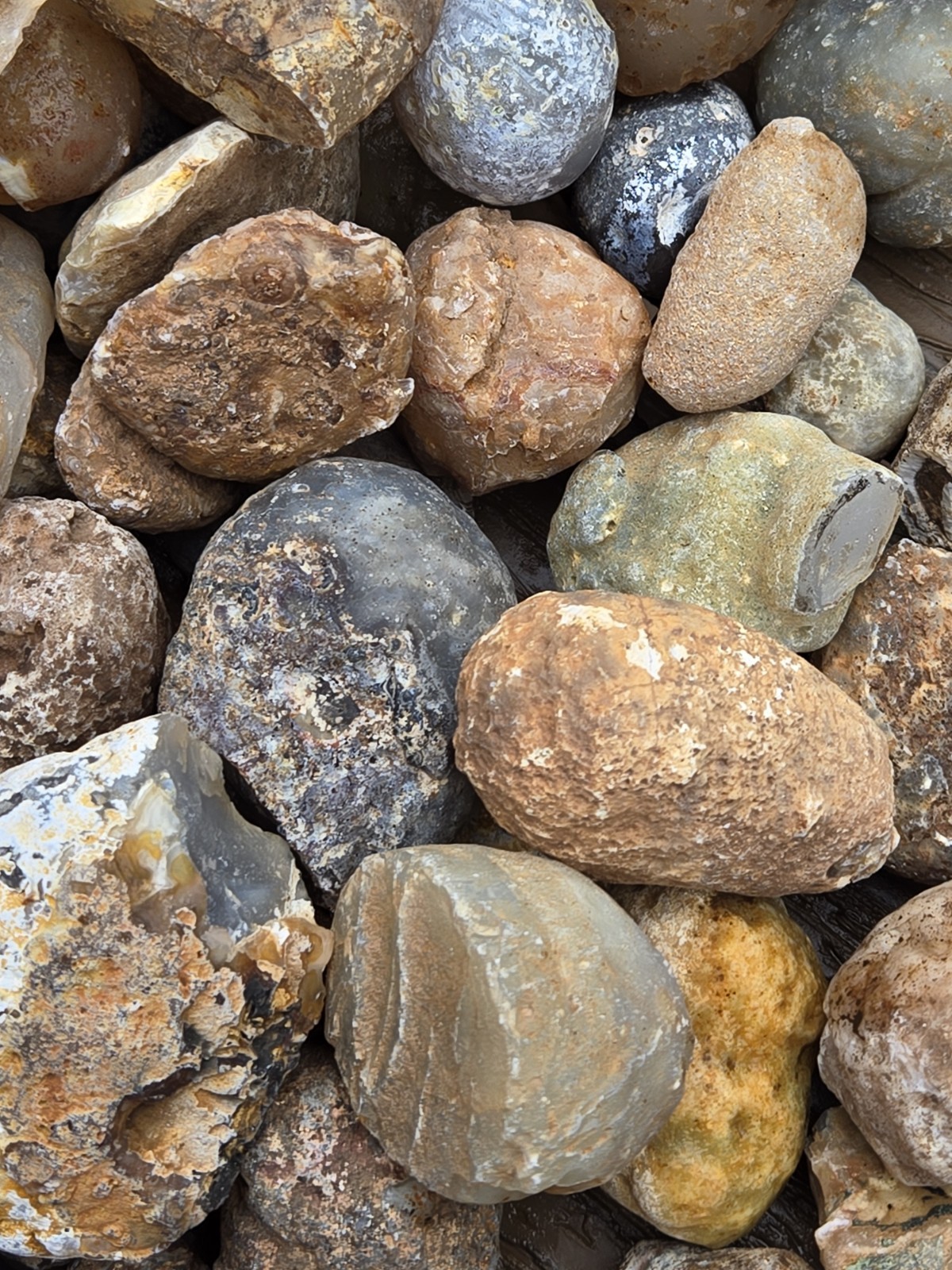 Oco Agate Geodes Whole - Mine Run Rough - 1 Pound Lb - Mostly Solid Agate
