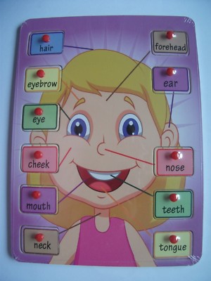 Pädagogisches Kinder Kids Lernen Teile des Kopfes Holzpuzzle Ausziehen 