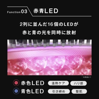 Brighte  ELEKIBRUSH  
美顔器　全身エステ両用 Brighte Eleki Brush+ | Japan Trend Shop