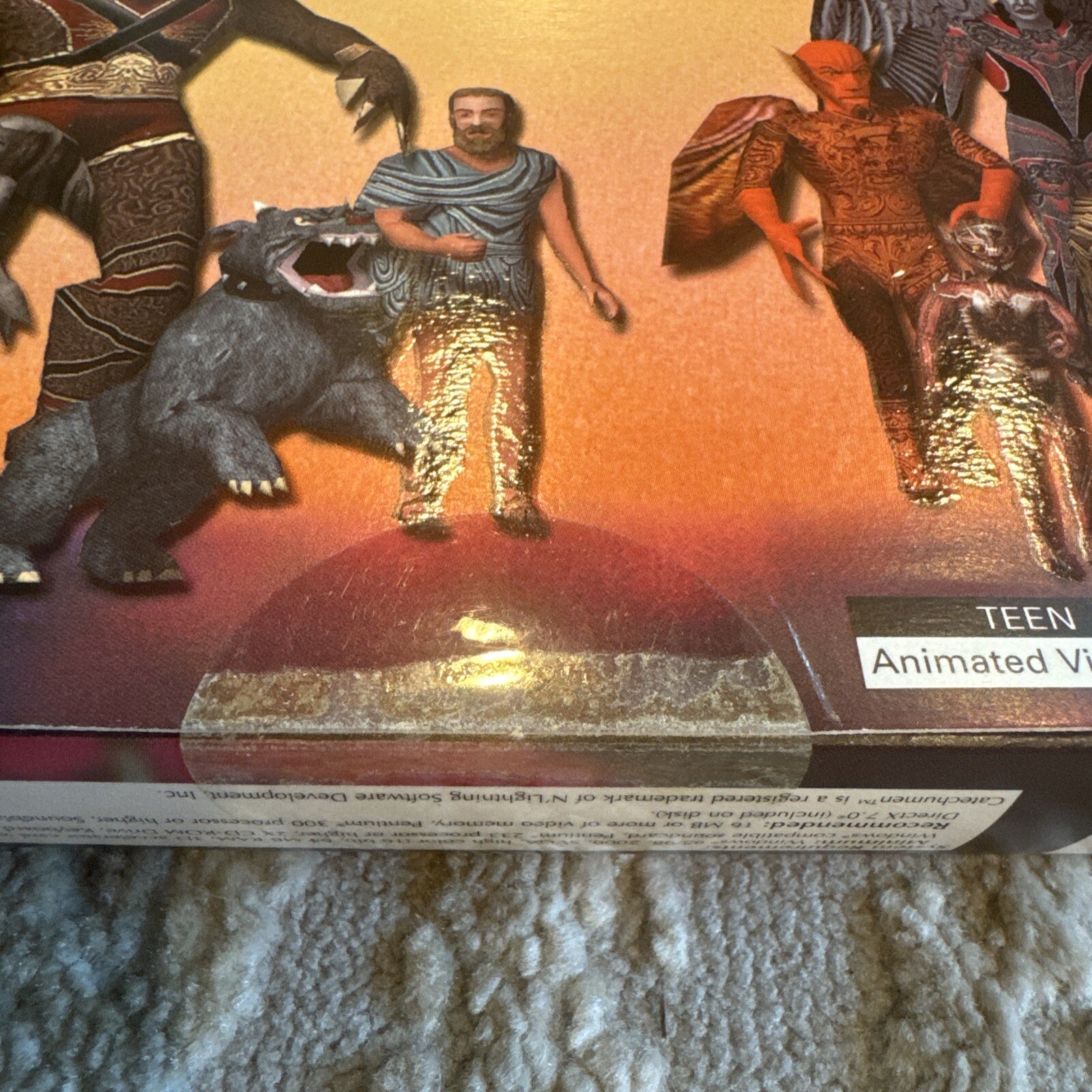 Picture 5 of 19
