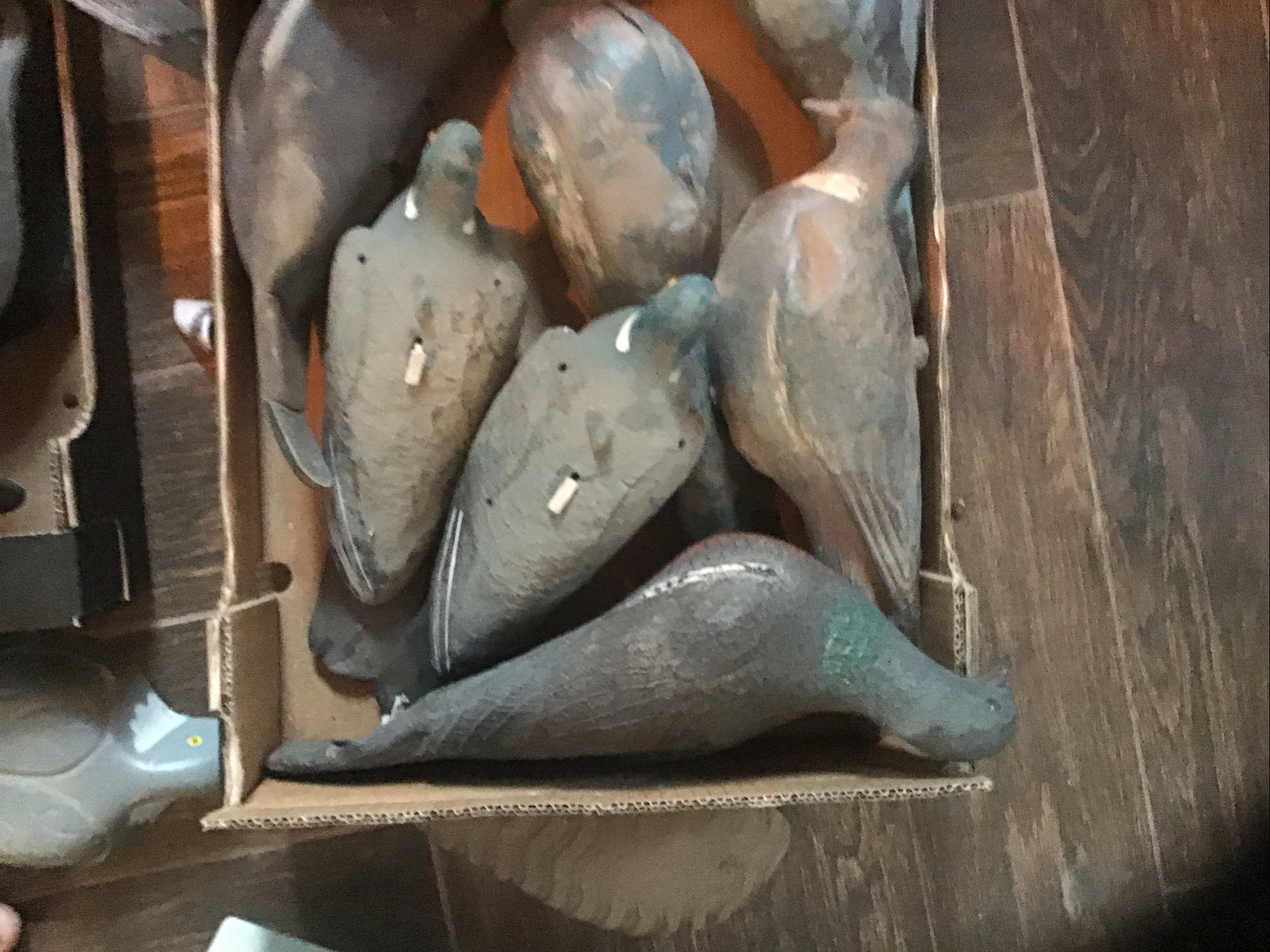 Huge Job lot Of 20 Shooting Pigeon Decoys eBay