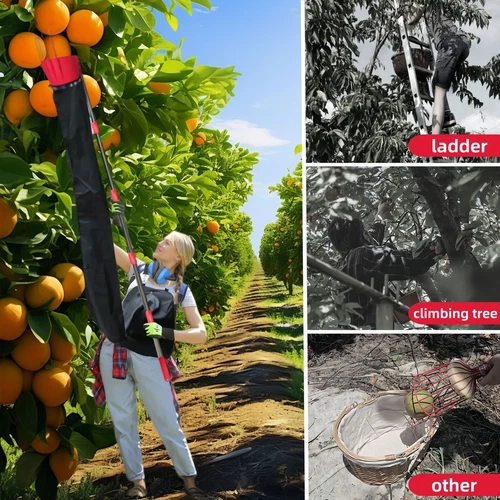 Obstpflücker Apfelpflücker mit Teleskopstiel bis 13FT Obsternter Kirschpflücker - Bild 5 von 6