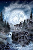Toland Home Garden Spirit Wolves Decorative Wilderness/outdoors House Yard Fl... on sale Toland Home Garden Spirit Wolves Decorative Wilderness/outdoors House Yard Fl... on sale