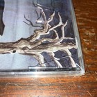 Bild 11 von 11