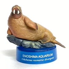 Capsule Aquarium 1 Bottle Cap Mini Figure Walrus Kaiyodo Japan