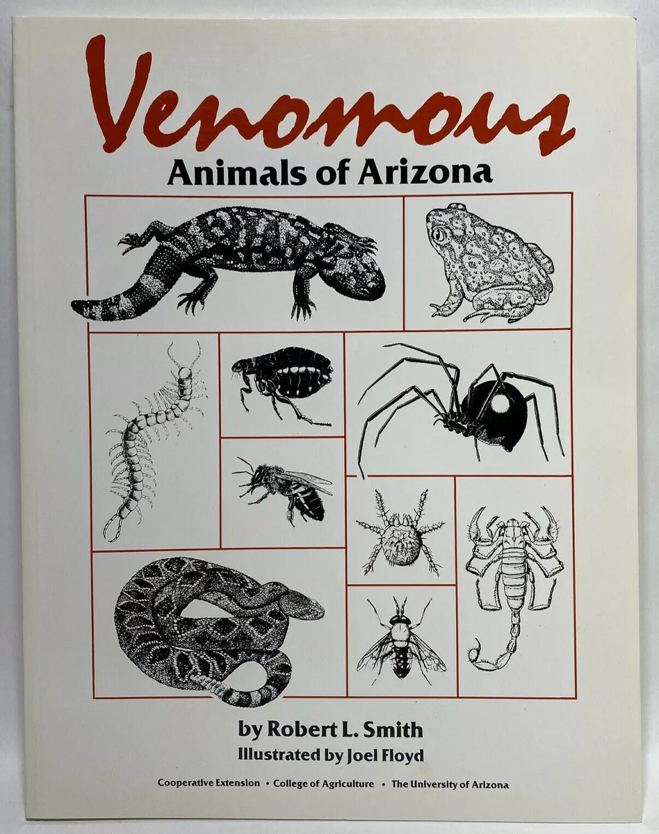 Venomous or Not Snake Quiz - A-Z Animals