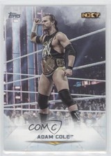 2020 Topps WWE Undisputed Adam Cole #52 0ol8