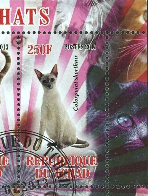 Cat Stamp American Shorthair Wire hair Maine Coon Souvenir Sheet of 4 Stamps - Image 3 of 4