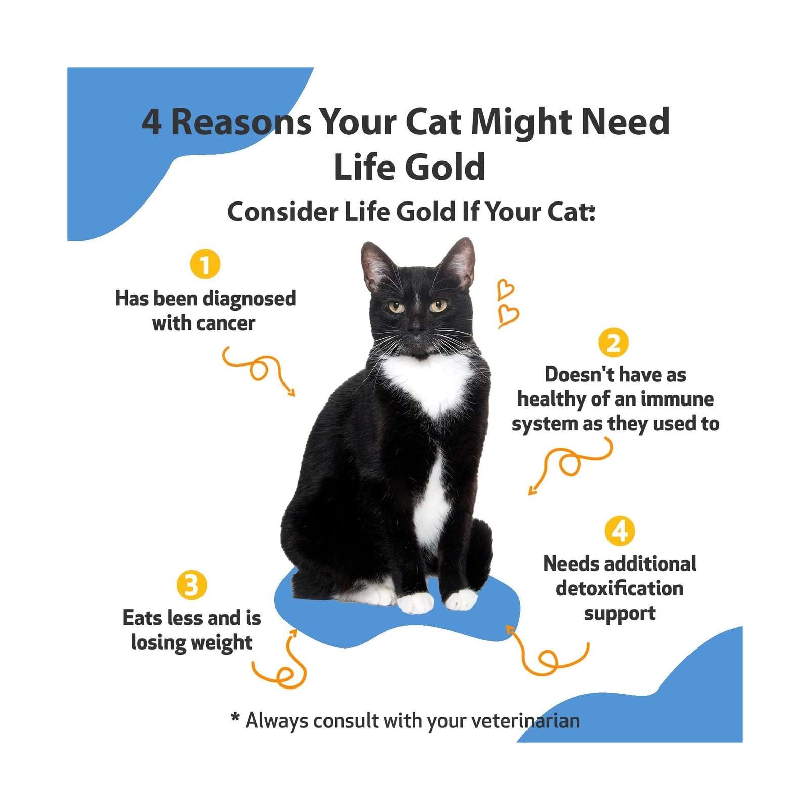 Pet Wellbeing Life Gold for Dogs and Cats 2 FL Oz Expires 072024 for